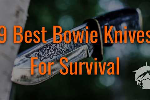 9 Best Bowie Knives for Survival