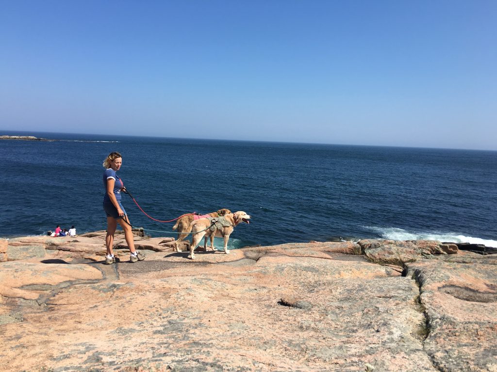 Dog-Friendly Destinations in the Northeast