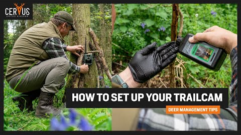 HOW TO SET UP YOUR TRAIL CAMERA & ROEBUCK STALK!