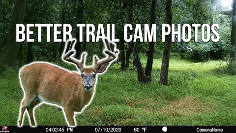 How to Improve Trail Camera Photo Quality