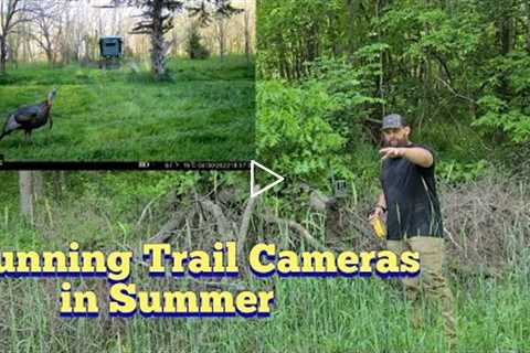 KOAM Outdoors Strategies -  Summer Trail Cameras