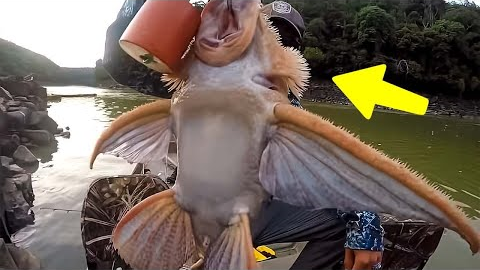 Lucky Fisherman Caught Something Incredible