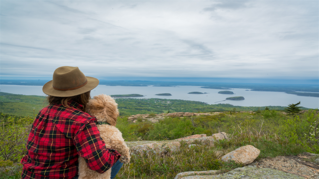 12 Dog-Friendly National Parks for Adventures With Your Pooch