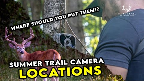 Move Summer Trail Cameras HERE!!! RIGHT NOW!!!