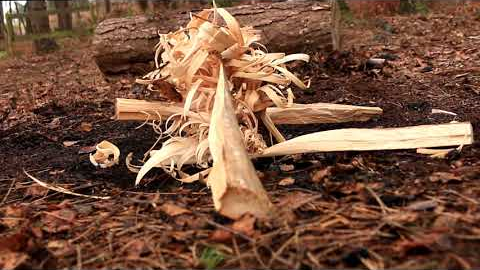 Bushcraft Skills |How to Make Feather Sticks