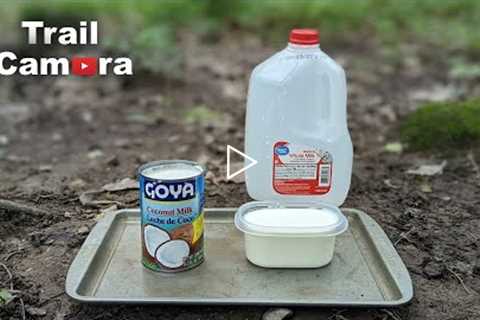 Coconut Milk vs. Regular Milk | Left in the Woods [TRAIL CAMERA]