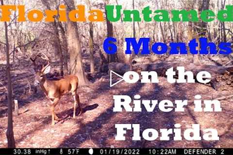Trail Cam Video Footage - 6 Months in the Central Florida Swamp - Next to a River - FloridaUntamed