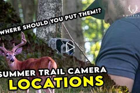 Move Summer Trail Cameras HERE!!! RIGHT NOW!!!