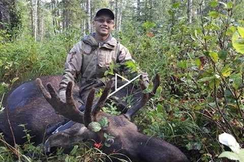 2017 Alaska Moose Hunt | NuttyNu