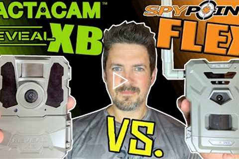Tactacam Reveal XB Vs Spypoint FLEX Cellular Trail Camera Comparison. Which is Better for YOU?