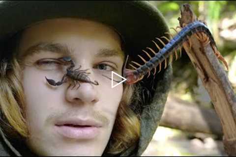 GIANT Centipede vs Scorpion AUSTRALIA! (Catch and Cook)
