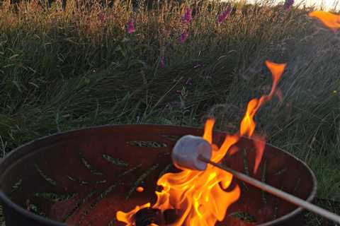 NEWS | Vegantic Mallows – Plant-Based Marshmallows Ideal For Campfire Roasting