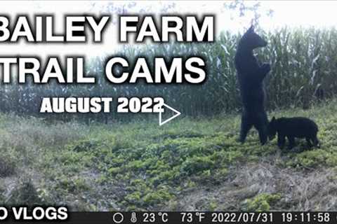 Bailey Farm Trail Cams August 2022