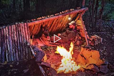 3 Days Bushcraft Shelter Camping: Processing Tinder, Survival Skills, Wild Forest Camp, DIY, ASMR