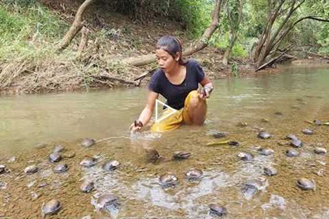 Found catch clam in river for food of survival - Grilled clam spicy so delicious food