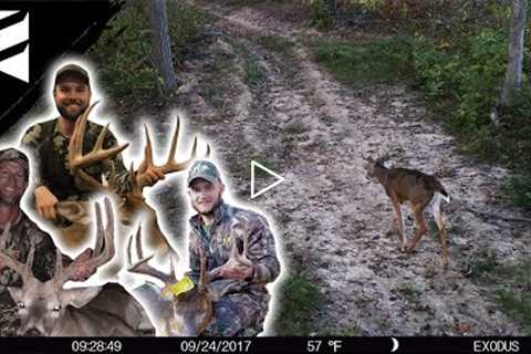 Where Is The Best Spot For September Trail Cameras? We Asked The Pro's