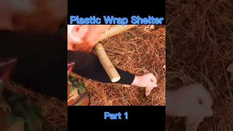 #shorts Build a plastic wrap shelter, part 1.#survival #skill #DIY #sh