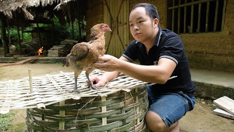 I successfully trap the hen, taming wild chickens. Primitive Skills (ep183)