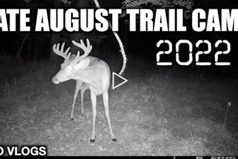 Bailey Farm Trail Cams Late August 2022