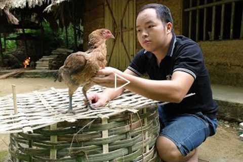 I successfully trap the hen, taming wild chickens. Primitive Skills (ep183)