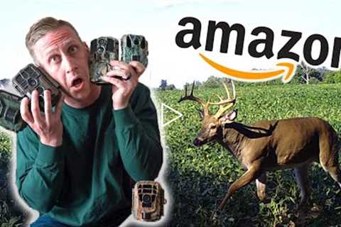 5 Cheap Trail Cams on Amazon - 2022 FULL REVIEW