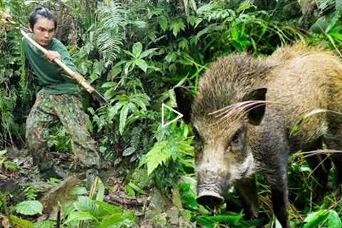 FULL VIDEO : 200 days of survival alone, spotting wild boars and crafting some primitive traps