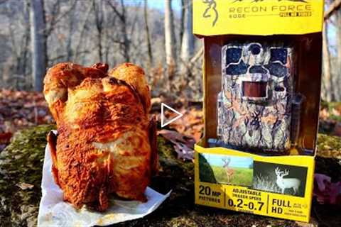 Trail Camera: Leaving a CHICKEN in the Woods!