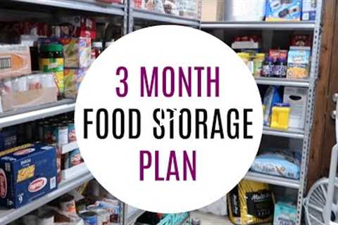 HOW TO PREPARE A 3 MONTH STOCKPILE SUPPLY NOW!!!!