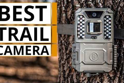 Top 5 Best Trail Cameras on Amazon