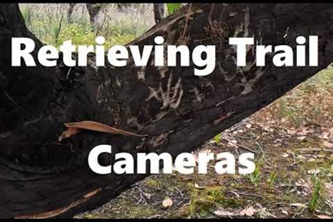 Retrieving Trail Cameras