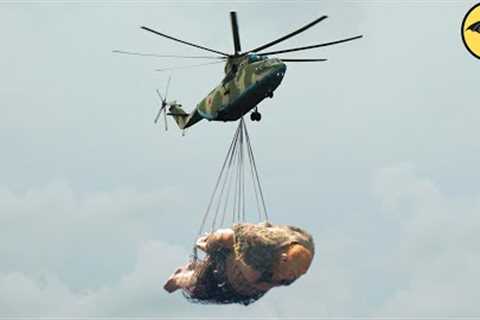 Soldiers Capture Huge Creature in Afghanistan.