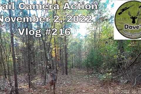 Trail Camera Action November 2, 2022 - Vlog #216