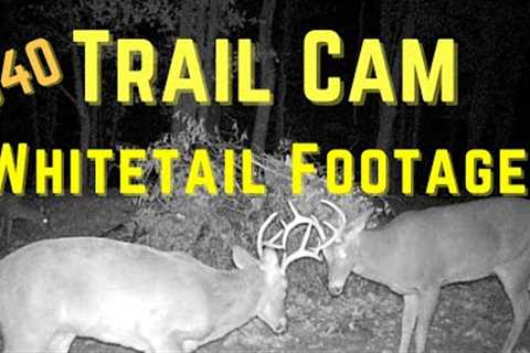 StealthCam Trail Camera Review