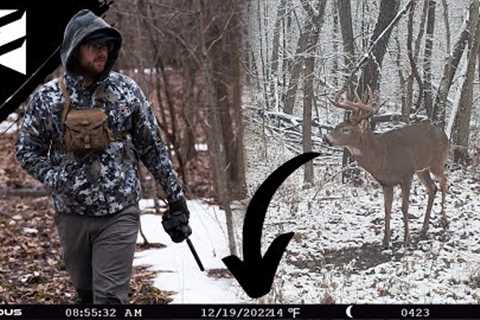 Why You Shouldn''t Pull Your Trail Cameras Yet!