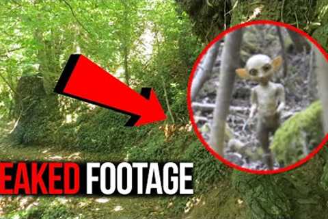 Disturbing Trail Cam Captures No One Can Explain