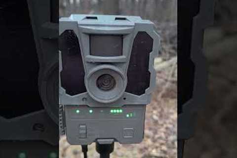 Trail camera update