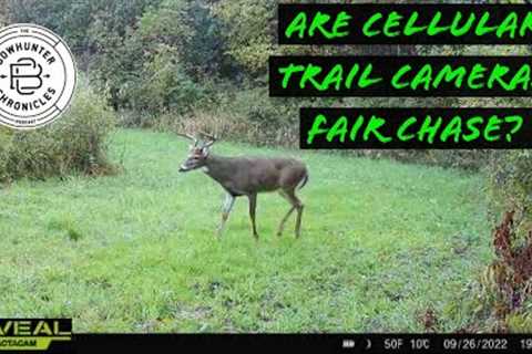 Are Cellular Trail Cameras Fair Chase? - Byron Horton - Walter Lee