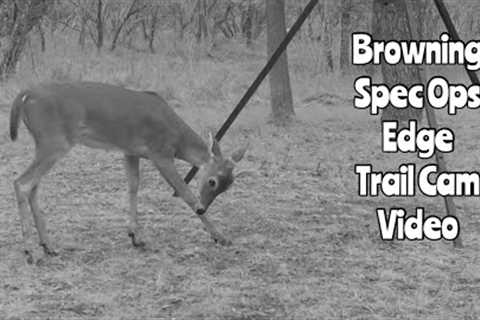 Browning Spec Ops Edge Trail Cam Video Oct. 24-26, 2022