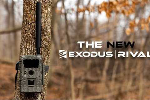 Exodus Rival Launch