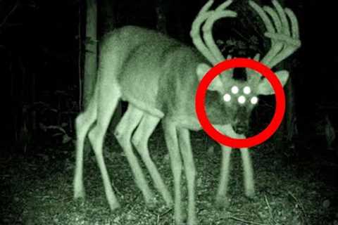 THEY EXIST - This Man Recorded A Skinwalker With His Trail Cam