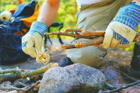 Bushcraft Skills to Help You Survive in the Outdoors