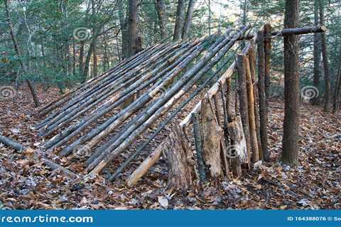 Setting Up a Bushcraft Campsite