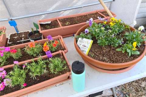 Indoor Survival Garden: Growing Fruits, Veggies and Herbs Indoors