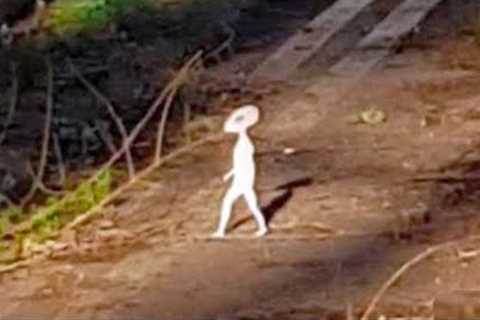 Most Disturbing Creatures Ever Caught on Trail Cam 2023