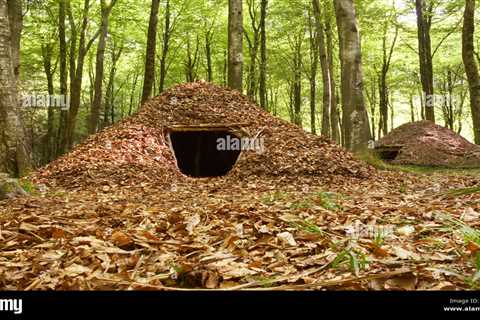 Bushcraft in the UK