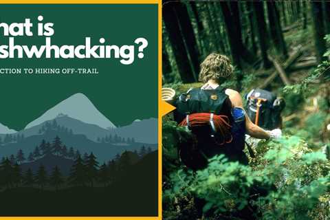 What Is Bushwhacking? Introduction to Hiking Off-Trail