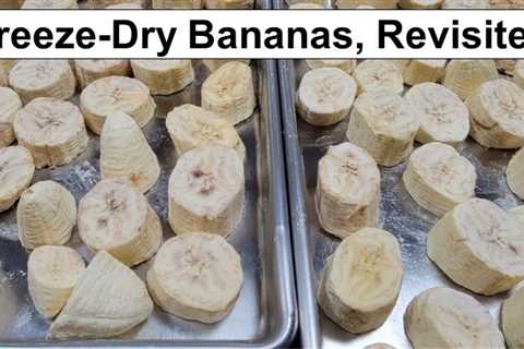 Freeze-Dried Bananas, Revisited