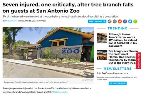 San Antonio Zoo Accident Leaves Several Injured, CEO Issues Statement