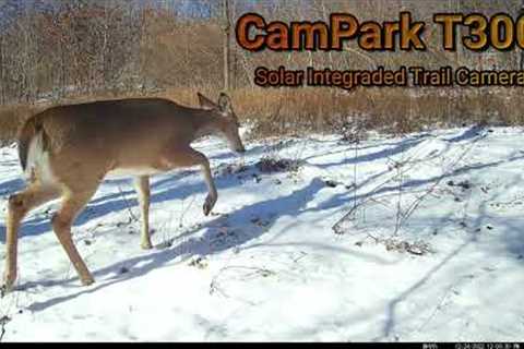 Trail Cam Tuesday - March 28, 2023