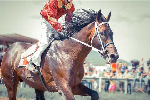 The Good Sam Guide  to the Kentucky Derby